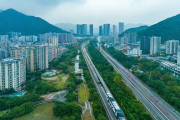 雨城区有哪些主要公交线路？