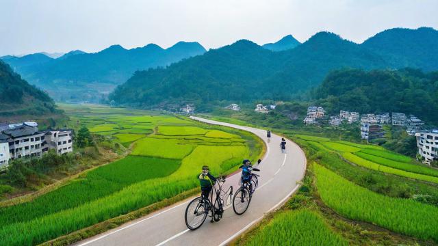 青田县自行车骑行路线推荐是怎样的？