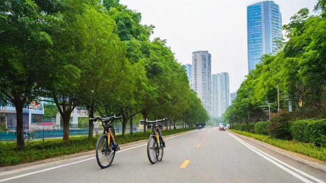 青白江区自行车的骑行路线有哪些推荐？