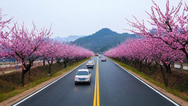 黄梅县限行期间，哪些路段和时段受影响？