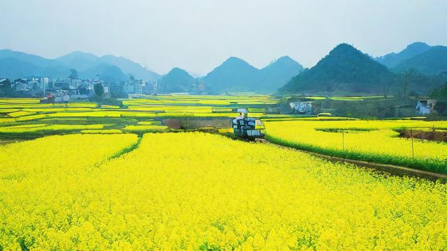 花山区哪个时间段限号？