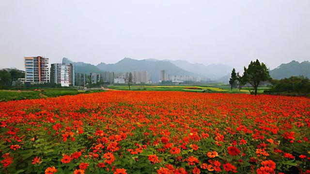 花山区哪个时间段限号？