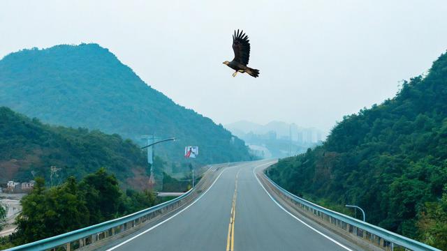 鹰潭市哪些路段实行限重？