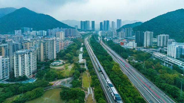 雨城区有哪些主要公交线路？