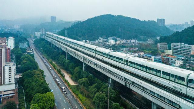 雨城区有哪些主要公交线路？