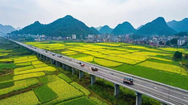 “穿越绿意，镇平脉络：解锁交通网络覆盖的魅力之旅”